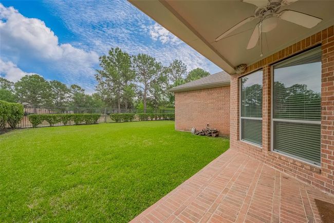 The backyard full of color and peace to enjoy | Image 41