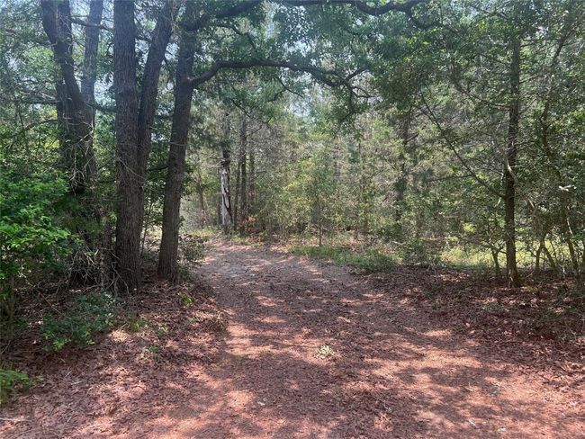 330 Powell Rd, Home with 0 bedrooms, 0 bathrooms and null parking in Smithville TX | Image 13