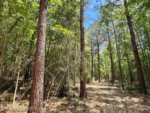 0 Mcnair Springs Road, Magee, MS, 39111 | Card Image