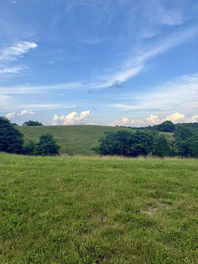 159 Westwoods Dr, Home with 0 bedrooms, 0 bathrooms and null parking in Georgetown KY | Image 6