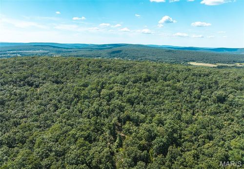3 Buck Mountain Rd, Doe Run, MO, 63637 | Card Image