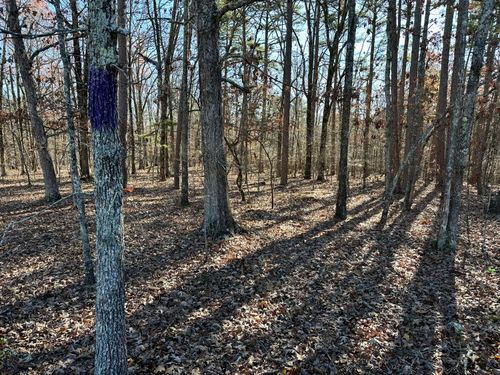 000 State Highway H, Ellsinore, MO, 63937 | Card Image