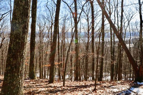 0 Lot Walton'S Road, Hurley, NY, 12443 | Card Image