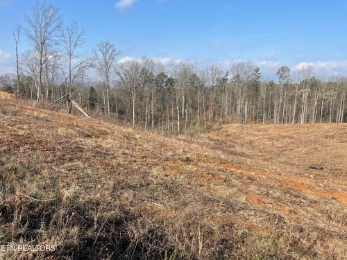 Lot 12 Laura Boling Loop Rd, Strawberry Plains, TN, 37871 | Card Image