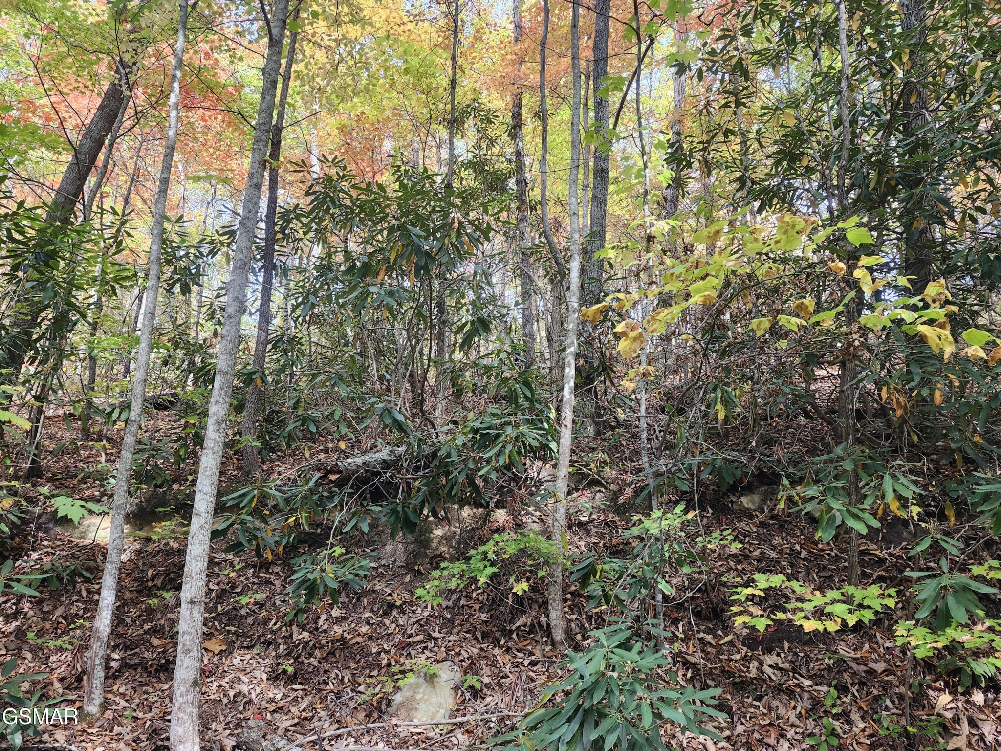 Land in Sevierville 2