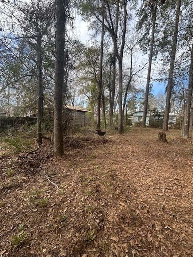 0 Honeysuckle, Home with 0 bedrooms, 0 bathrooms and null parking in Livingston TX | Image 8