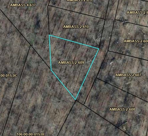 Lot 609 Ambassador Shores Dr, Leitchfield, KY, 42754-9416 | Card Image