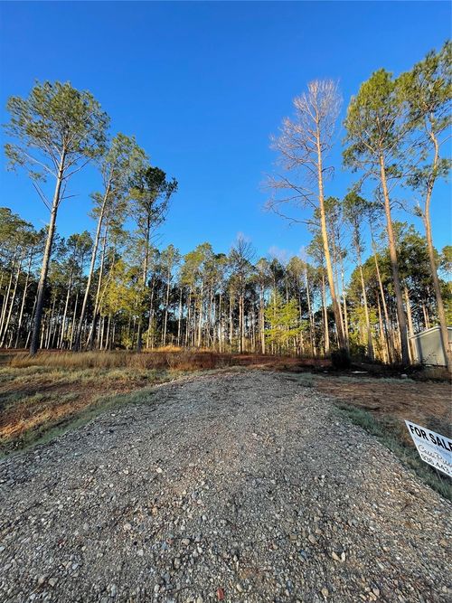 11333 Annie Creek Drive, Willis, TX, 77378 | Card Image