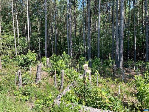 Lot 6 Richmond Rd, AMELIA COURT HOUSE, VA, 23002 | Card Image