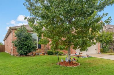 View of property hidden behind natural elements with a garage and a front yard | Image 3