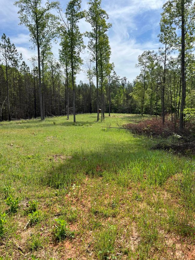Clover Plot AFTER 2 | Image 7
