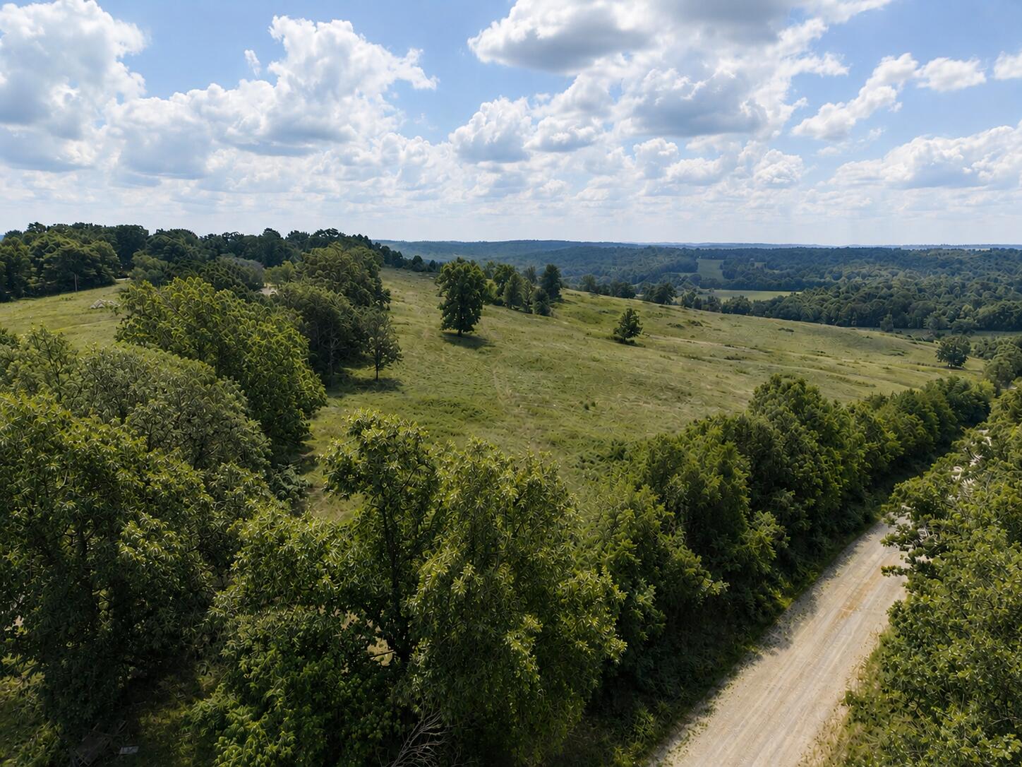 Land in Hartville 5
