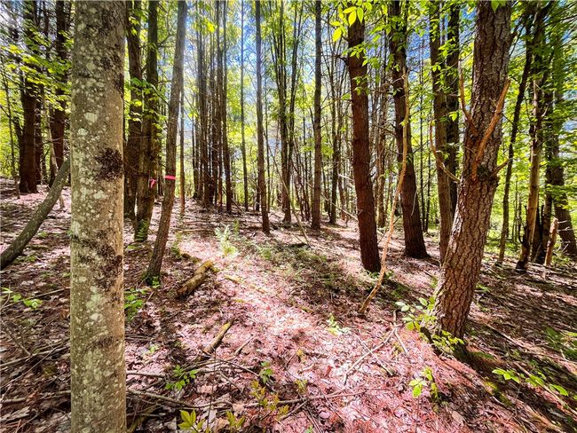 200 Straw Hill Rd, Home with 0 bedrooms, 0 bathrooms and null parking in Barton NY | Image 28