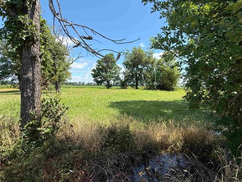 31767 North Rd., Marked Tree, AR, 72365 | Card Image