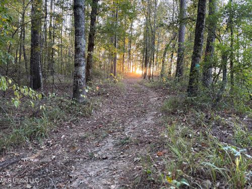 00 Simpson Rd, Pickens, MS, 39146 | Card Image