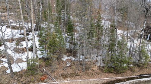 0 Trappers Trail Rd, Haliburton, ON, K0M1S0 | Card Image