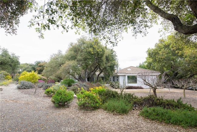 View from the upper area of the property overlooking the mini orchard | Image 56