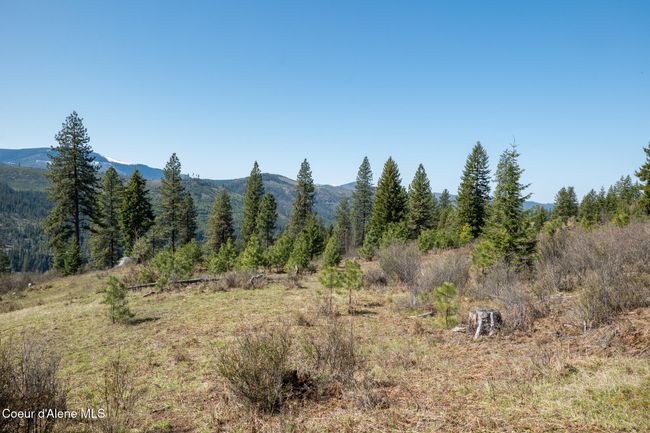 262 North Side Road, Home with 0 bedrooms, 0 bathrooms and null parking in Calder ID | Image 10