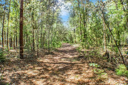 115 Coral Ave, Interlachen, FL, 32148 | Card Image