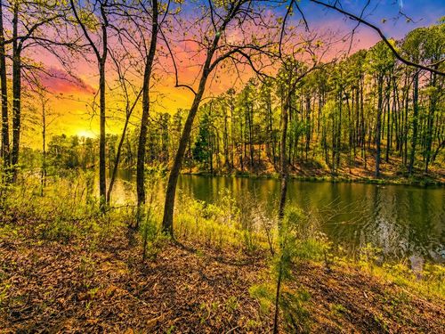177R Overlook Dr E, Ellijay, GA, 30536 | Card Image