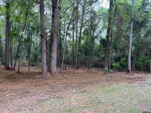 TBD County Road 2603, Pittsburg, TX, 75686 | Card Image