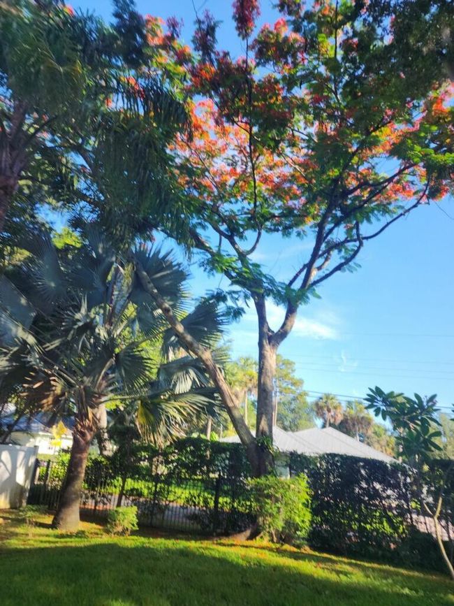 576 Sw Rustic Cir, House other with 3 bedrooms, 2 bathrooms and null parking in Stuart FL | Image 4