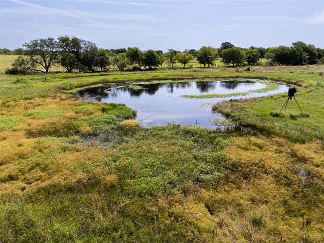 5662 Highway 171, Home with 0 bedrooms, 0 bathrooms and null parking in Coolidge TX | Image 4