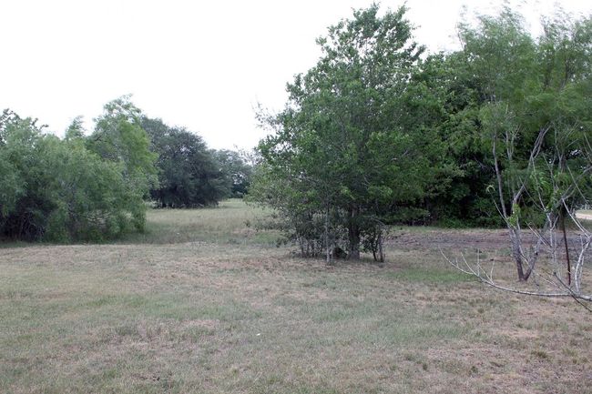 View of undeveloped land | Image 10