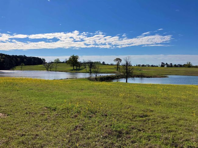 Lot 49 White Oak Creek Ranch, Home with 0 bedrooms, 0 bathrooms and null parking in Big Sandy TX | Image 6