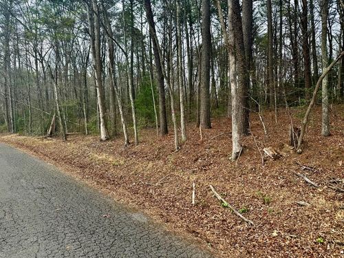 0 Nicholson Cir, Turtletown, TN, 37391 | Card Image
