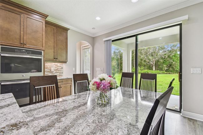 10701 Morning Dew Way, House other with 7 bedrooms, 6 bathrooms and null parking in TAMPA FL | Image 28