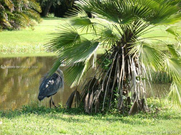 Residential in Lehigh Acres