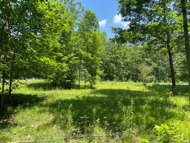 0 Glamor Lake Rd, Home with 0 bedrooms, 0 bathrooms and null parking in Gooderham ON | Image 7