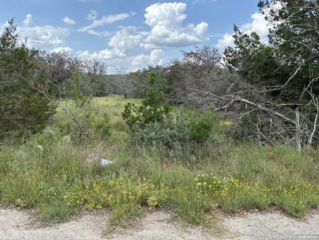 203 Bluff View Dr, Home with 0 bedrooms, 0 bathrooms and null parking in Spring Branch TX | Image 5