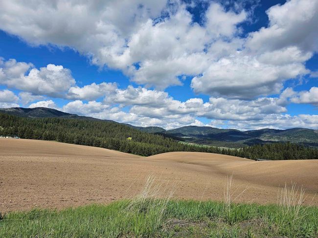 000 E Horton Rd, Home with 0 bedrooms, 0 bathrooms and null parking in Rockford WA | Image 5