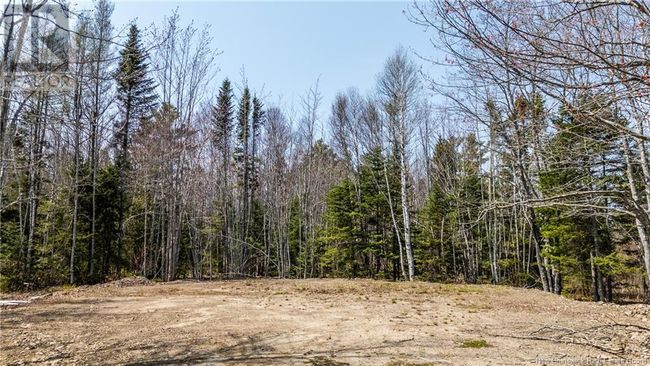 1387 Bells Mills Rd, Home with 0 bedrooms, 0 bathrooms and null parking in Richibouctou-Village NB | Image 23