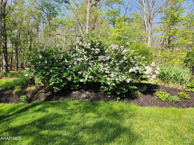 2299 Fleegle Rd, House other with 2 bedrooms, 2 bathrooms and null parking in Central City PA | Image 47