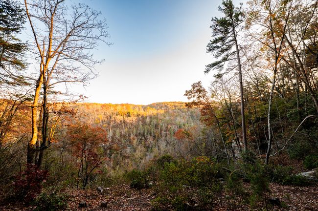 2272 Little Bend Rd, Home with 0 bedrooms, 0 bathrooms and null parking in Signal Mountain TN | Image 9