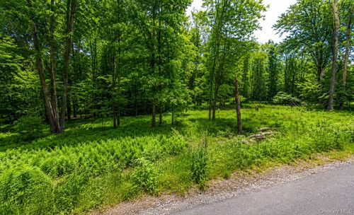 135 Rose Valley, Thompson, NY, 12701 | Card Image