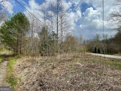 12.1 ACRES Laurel Branch Road, Hayesville, NC, 28904 | Card Image