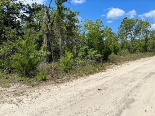  Ne 66th Lane, Williston, FL, 32696 | Card Image