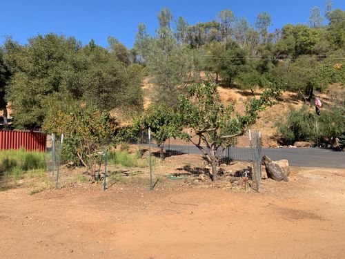 3888 Durock Rd, Shingle Springs, CA, 95682-8414 | Card Image