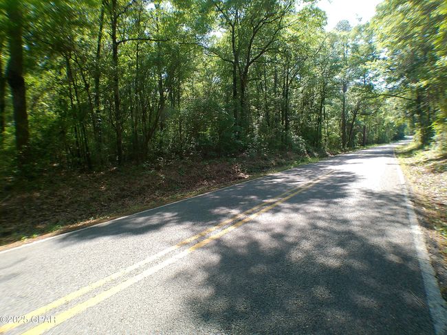 1725 - 00 Christian Life Rd, Home with 0 bedrooms, 0 bathrooms and null parking in Defuniak Springs FL | Image 6