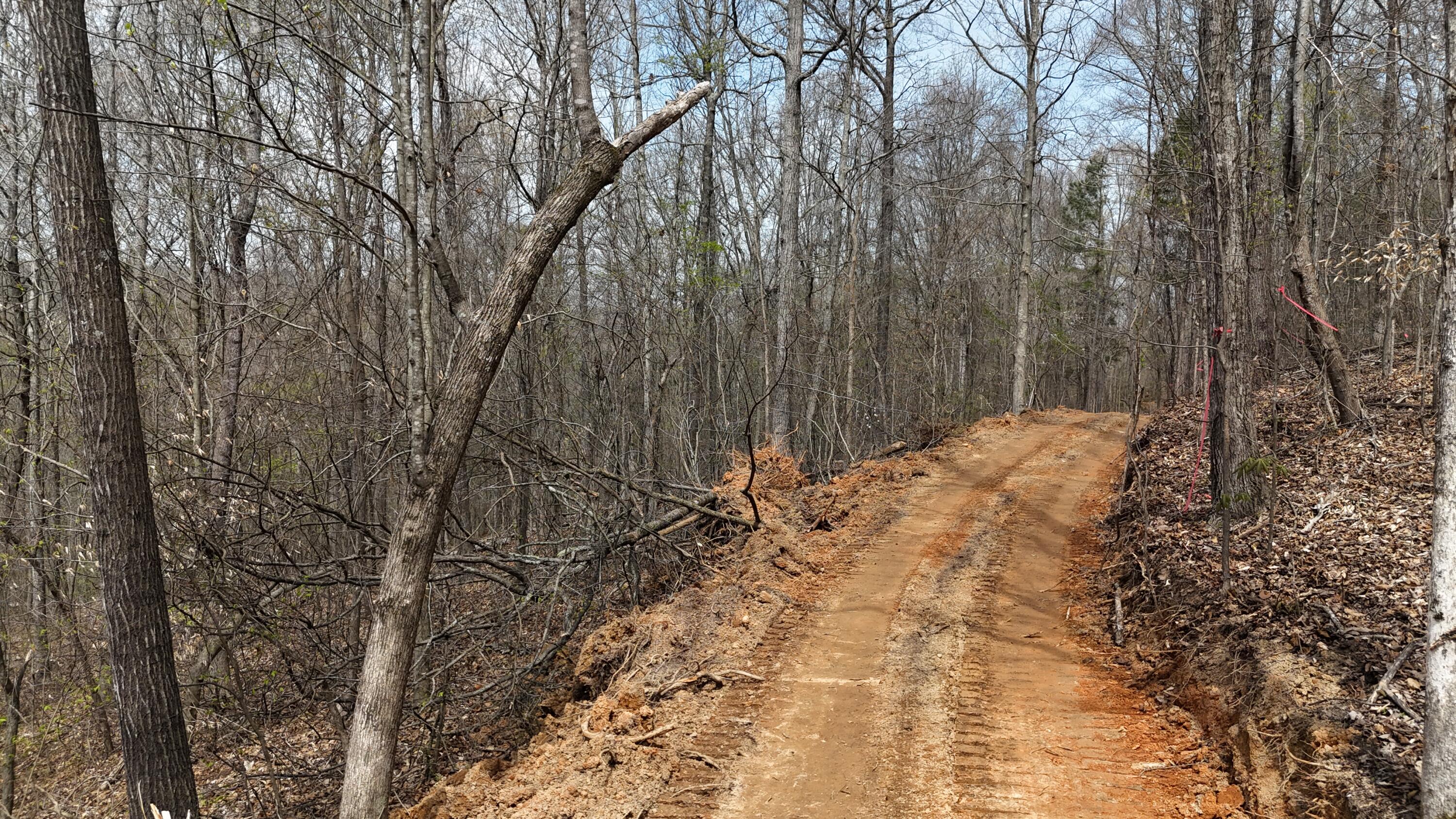 Land in Decatur 5