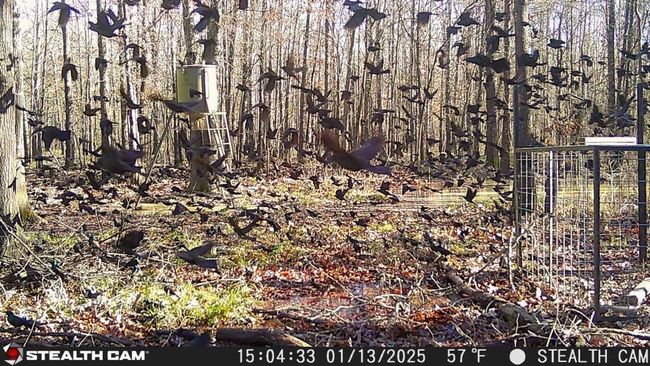 View of nature | Image 7