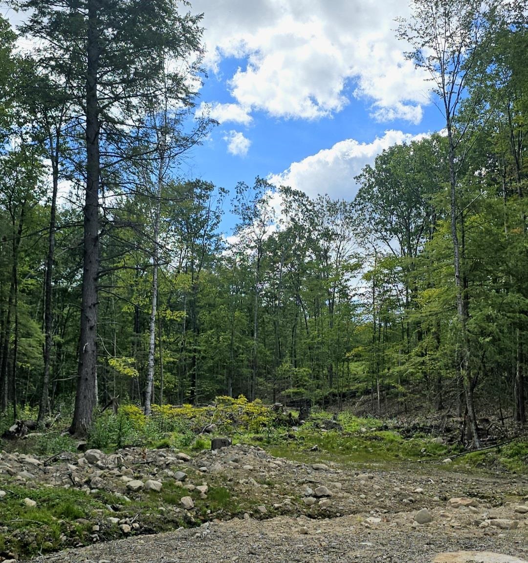 Land in New Durham 4