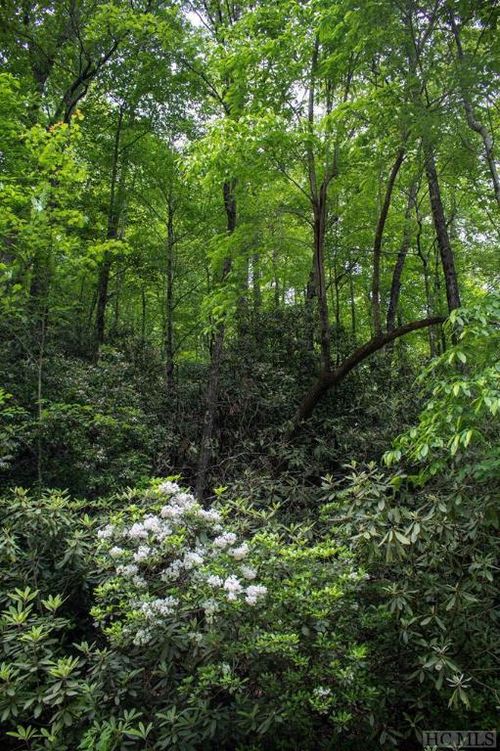 TBD Fox Den Rd, Brevard, NC, 28712 | Card Image