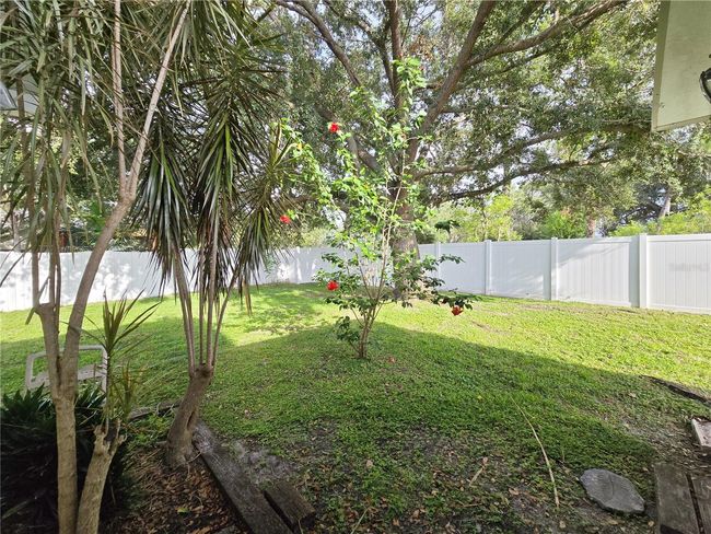 Back yard | Image 32
