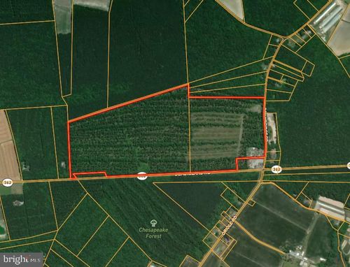 0 Deal Island Rd, PRINCESS ANNE, MD, 21853 | Card Image