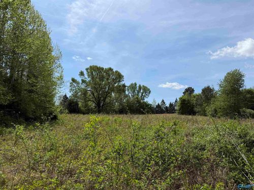 24 County Road 140, Town Creek, AL, 35672 | Card Image